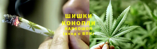 прущие крисы Балахна