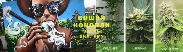 сатива Балабаново