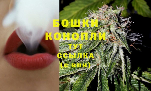 сатива Балабаново